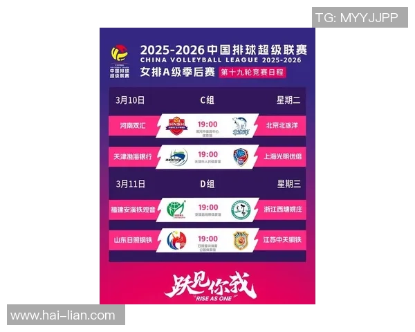 权威发布：2023年排球节奏实力榜单全面解读与分析