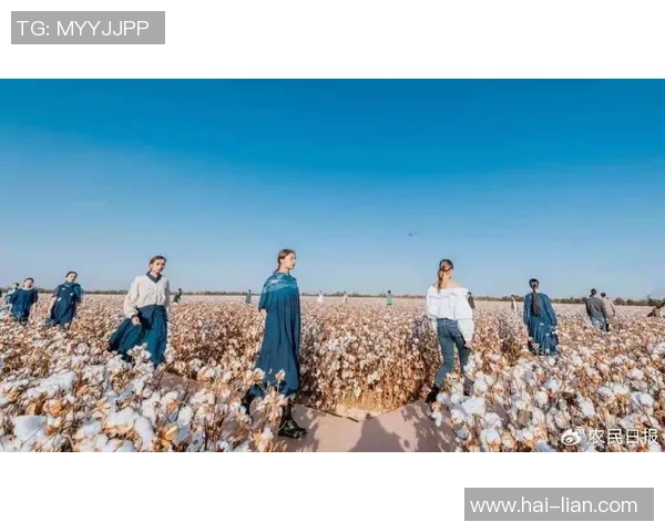 棉农独立分析：探讨棉花产业链中的挑战与机遇