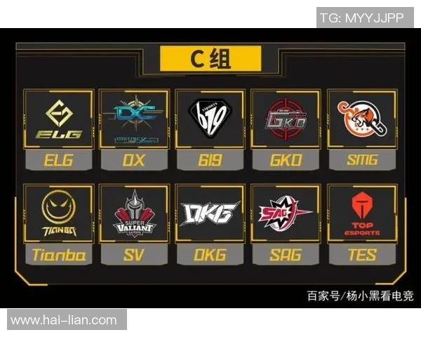 聚焦和平精英赛事TES战队的比赛经验与战术解析