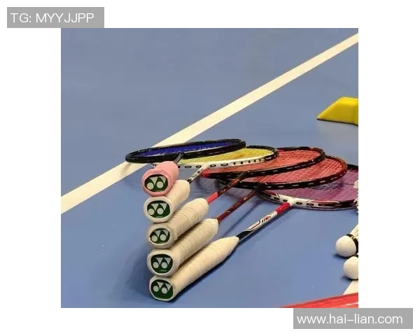 南京羽毛球队近期状态深度对比分析及未来发展趋势探讨